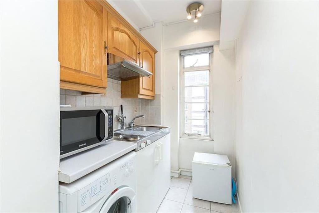 King-Sized Studio, 6Th Floor + Lift, Regent'S Park Лондон Экстерьер фото